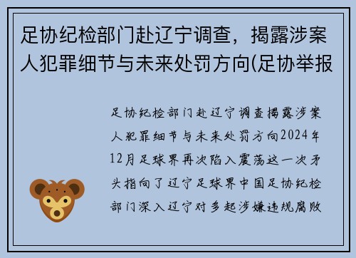 足协纪检部门赴辽宁调查，揭露涉案人犯罪细节与未来处罚方向(足协举报电话)